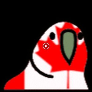 Meet your Posher, Connor